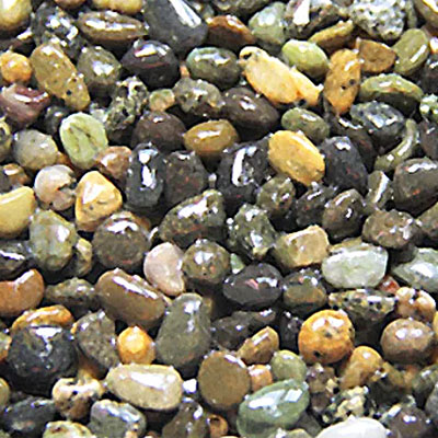 Premium Decorative Jellybean