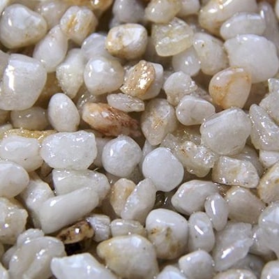 Premium Decorative Southern White